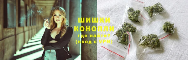 apvp Богородск