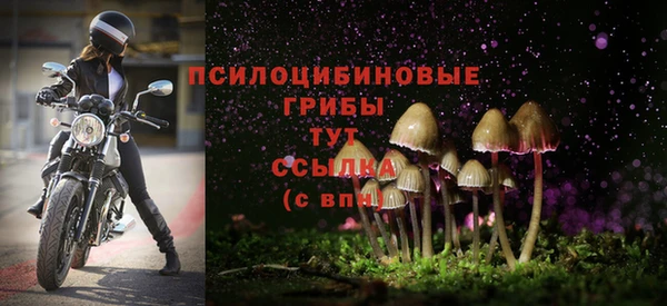 apvp Богородск